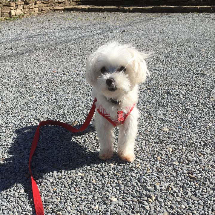 8bfd5e17 e72f 4b9b 9dbd b8932cee8d3e 1519883405885