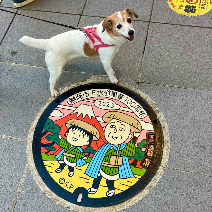 8bfd60ab d3e2 46c7 88ea 52de755b1f2e 1714887909261