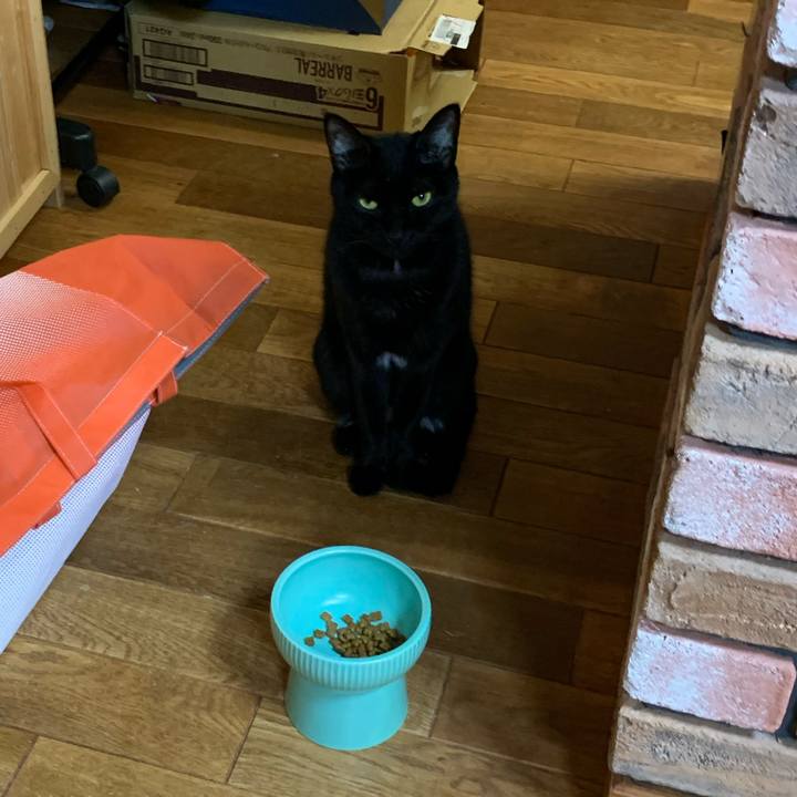 8bfd61cd aec9 40c1 9681 3a054c104f08 1614941972887