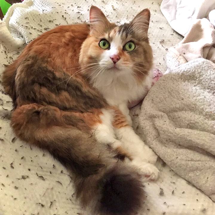 8bfdc2c8 df67 402f a905 f76da33931a6 1629788354589