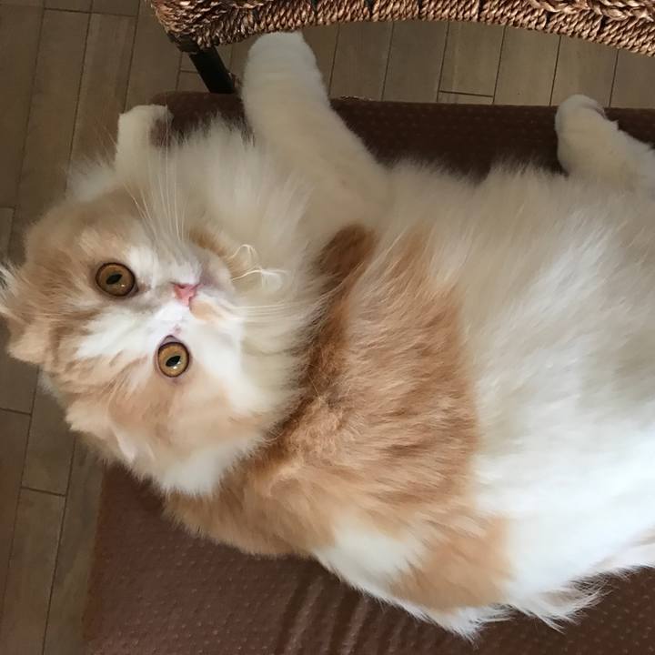 8bfdc4df f3ec 4cff 8908 85839ad96a64 1513512967473