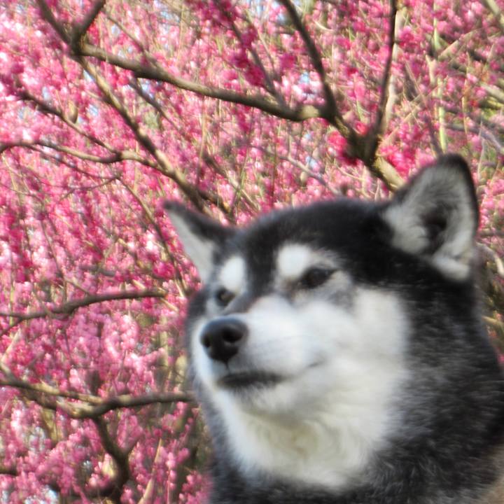 8bfde664 a9b0 45e4 a31b 4fa0be155e32 1679455952114