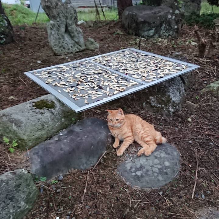 8bfe2dde 2243 4b5b bf8a 1e59d65a704c 1663015783369