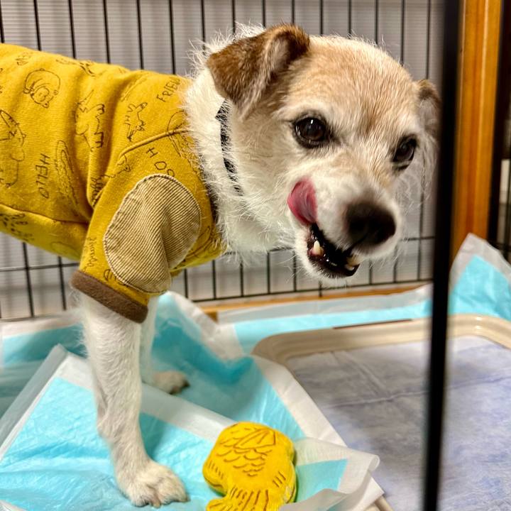 8bfe535e bb63 4234 959b 42429f0c843a 1704337210171