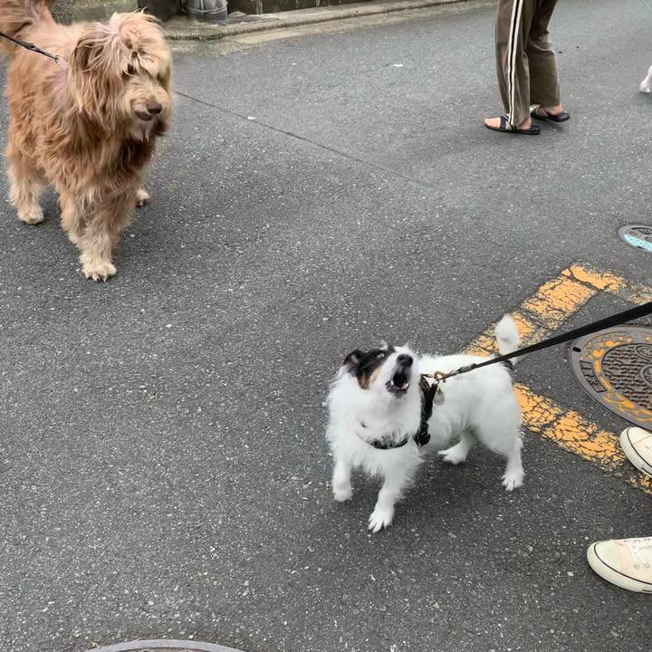 8bfe73bd 7904 4442 9715 69f2419382e6 1748049921052