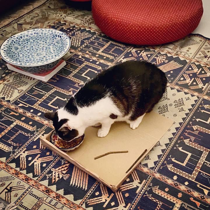 8bfe957c 02b4 4dd4 b6a0 9c1665ea6a6a 1593782304895