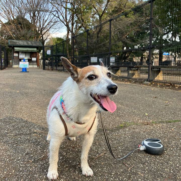 8bfeeafc 388a 4d1d b10b a07dec5a8b17 1678749623159