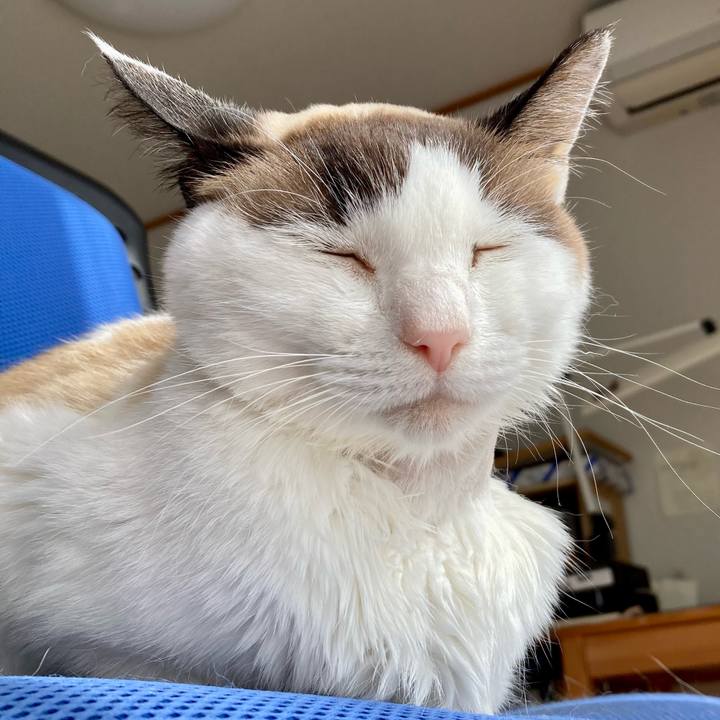 8bff140f 79b2 4d61 98c7 e8a11cb87ad0 1677842692014