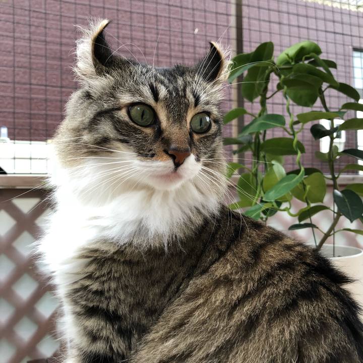 8bff541d 5575 4eee 90d0 807215c1c085 1539371108186