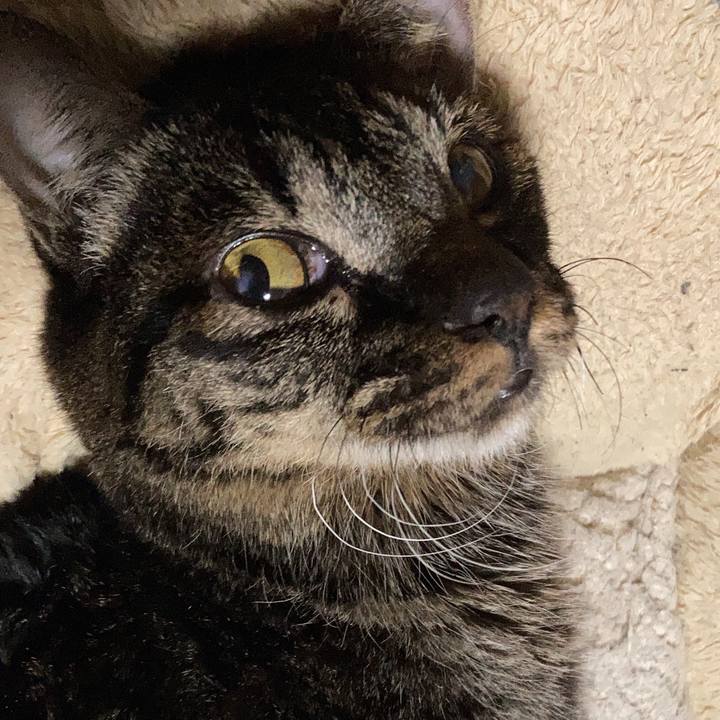 8bff6159 6387 4e73 b043 fa6fc4a88baa 1645683040664