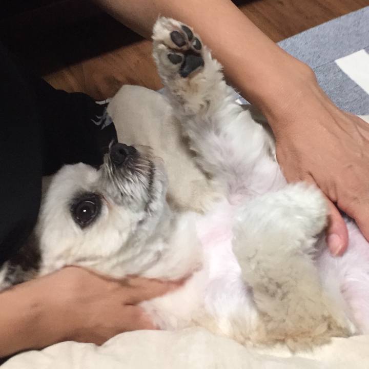 8bff8753 c979 4266 be8c 4071313a8cf1 1565006082066