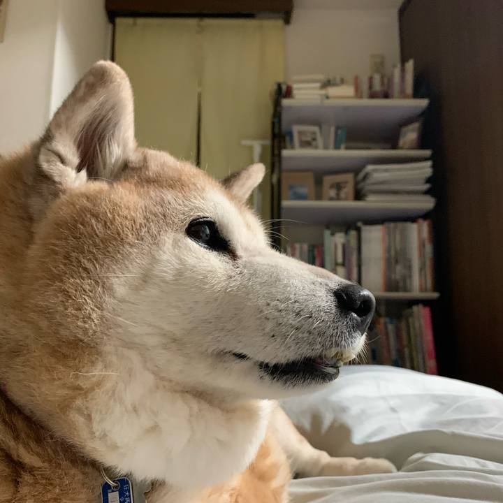 8bffc09d c972 4ed2 9625 061559d1160c 1648448905513