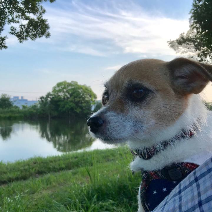 8bffe7c9 269f 4ee2 b9cf 33cfdd8809d1 1566001396071