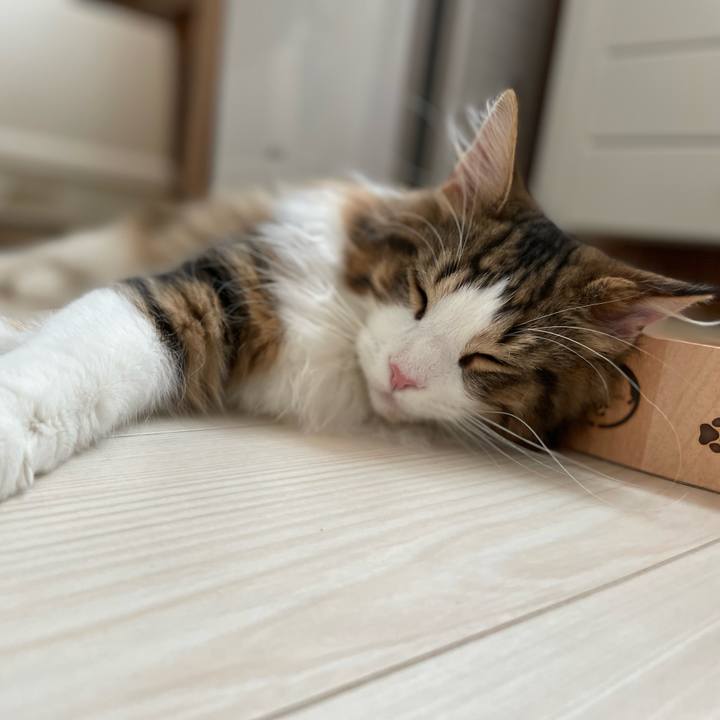 8c000985 6d25 4221 829b 6f91c9db06e0 1640480822022