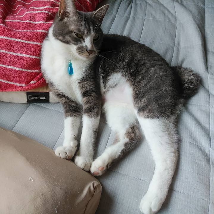 8c007c0b ce7d 478d 950d 167a13f9fce2 1589852011969