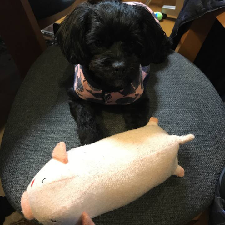 8c00872e a921 4596 8907 3565bdc13e49 1520864843233