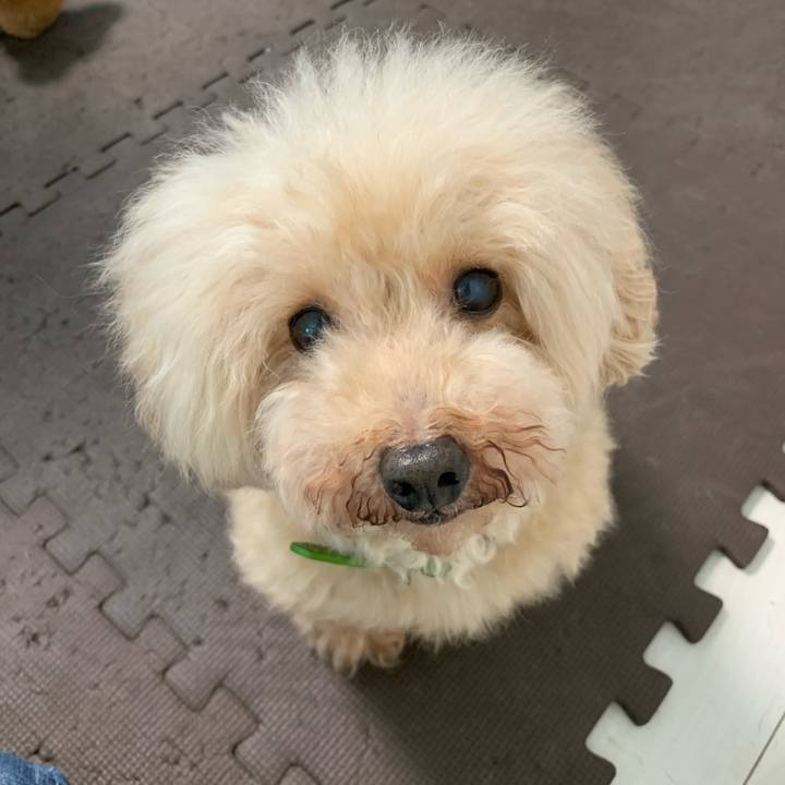 8c00e01d 0ebd 4169 8f67 134b14ce9b15 1599778028832