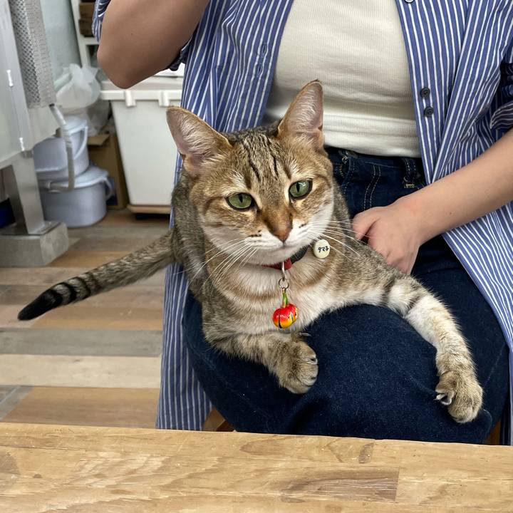 8c00e27d f76d 409d a8fe 2458ae2cca23 1684997717936