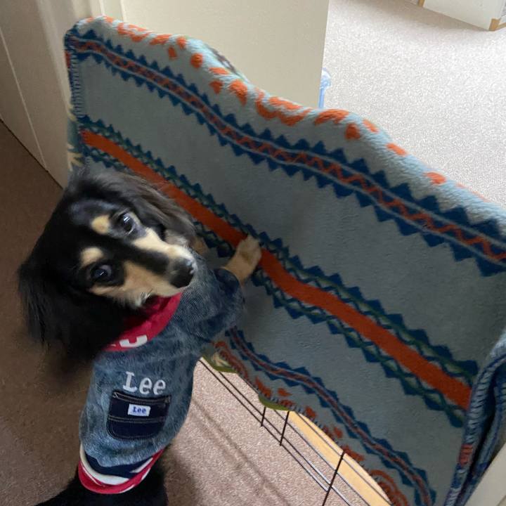 8c00f0db e735 4a40 9010 223c08ff04d5 1709970922591