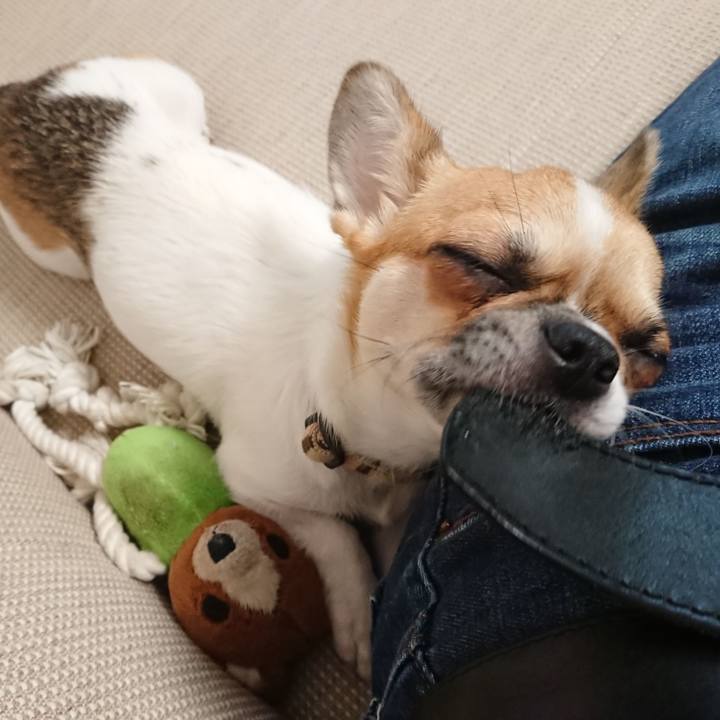 8c00fad7 b146 4712 86d1 b2a9fb6e054e 1536481866800