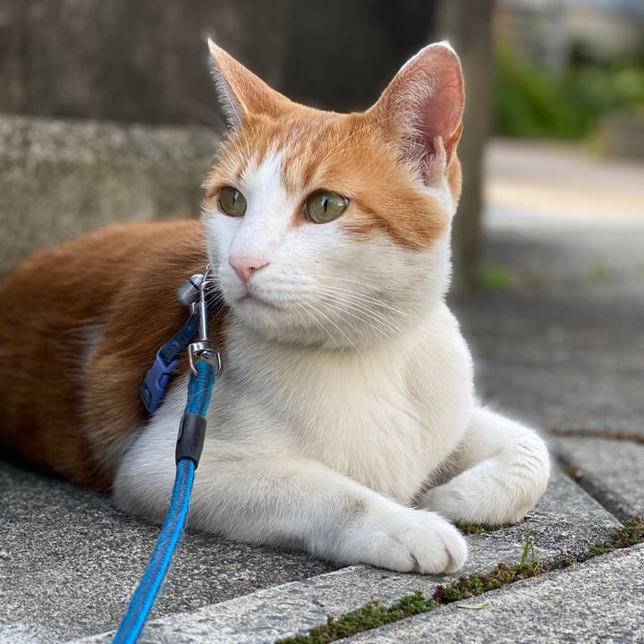 8c010962 e40d 4996 aa48 16492c4efa15 1588422999960