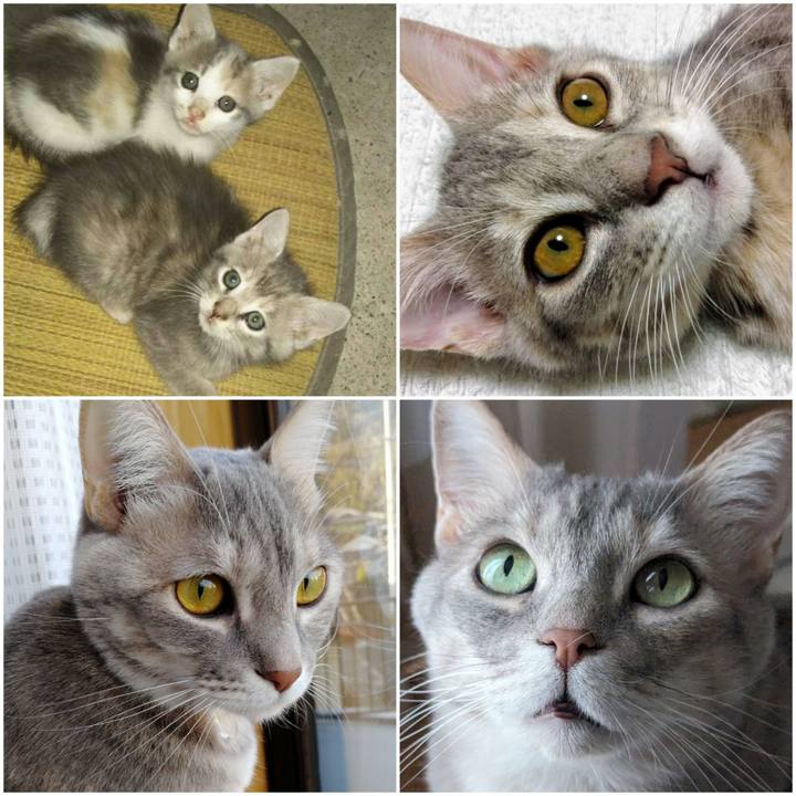 8c011199 3417 4dbd b2c4 38bd66f09c4c 1715324422838