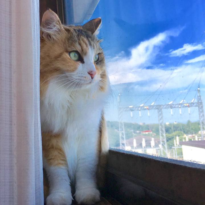 8c011693 42d1 4aac 833a 98e609cdb46d 1565420942123