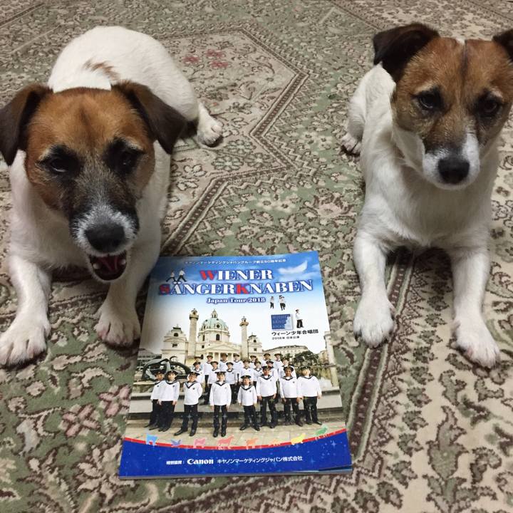 8c012ca6 1f13 450c 9a55 20aee8131b81 1525436169550