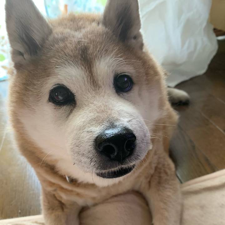 8c014369 ed0d 4f7a 969e 8719c2a6d440 1620650686373