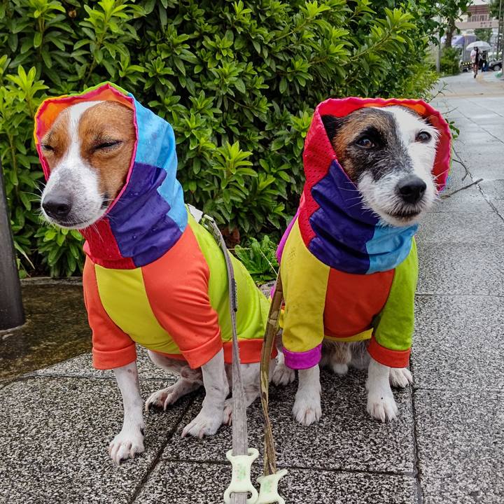 8c016d69 cd15 46dd b642 5c254224e76f 1631138204061