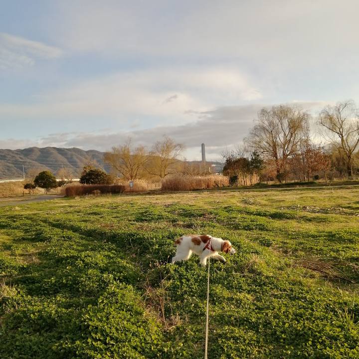 8c01976a 3e59 4d6b 930d c77be6be7570 1579334989499