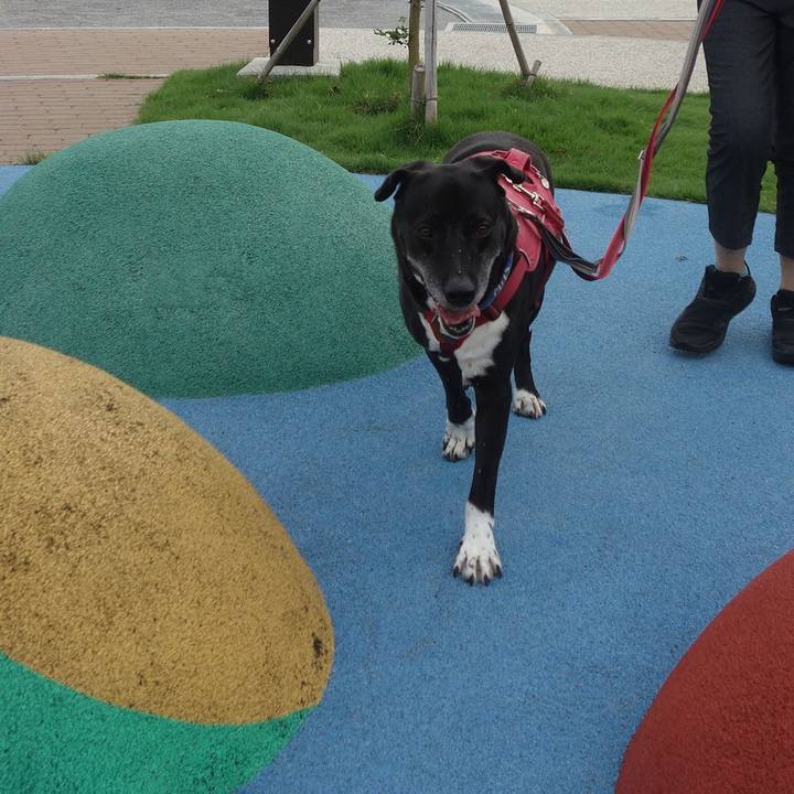 8c01abe5 159b 46eb 8e00 6427842e97d8 1694911658875