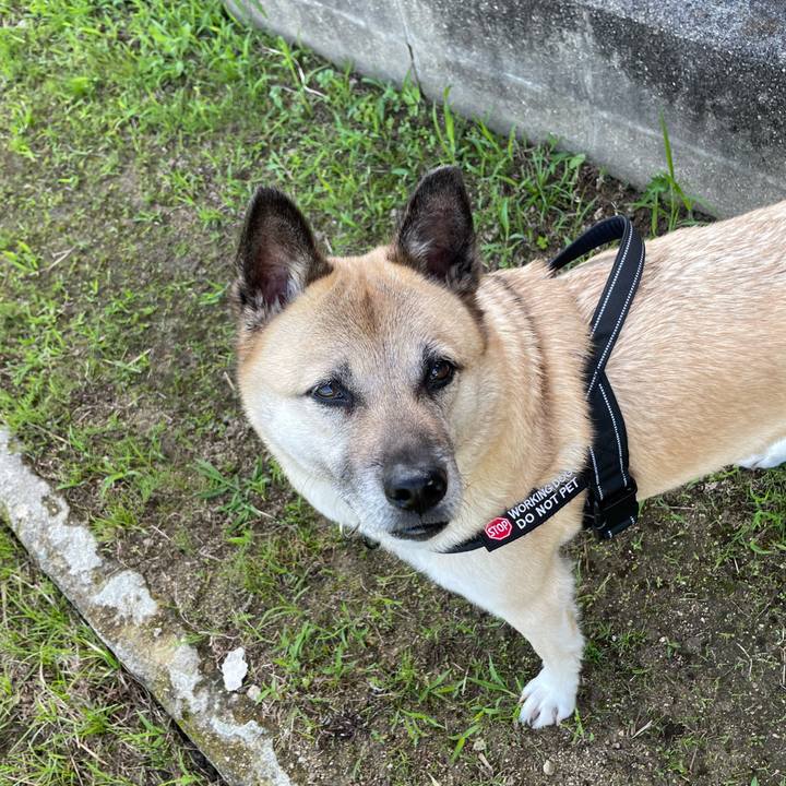 8c01bd7f 791b 4dd9 9b23 dcc81587076c 1717416661039