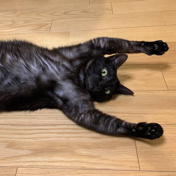 8c01d5b2 1084 456e 9123 e7740cd966b0 1580881201315