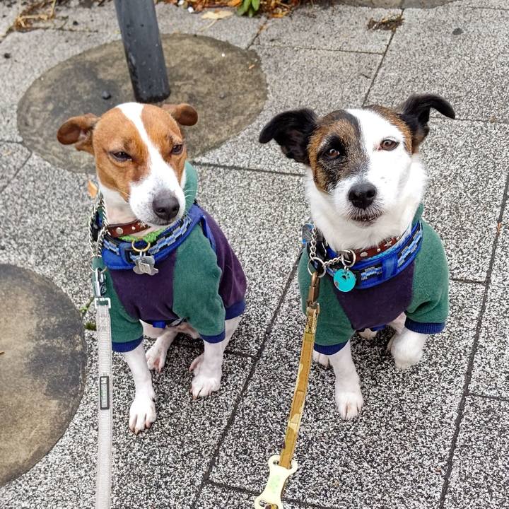 8c01ff74 48d8 446b 8263 47efe068a776 1644793045918