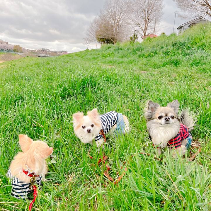 8c01ff88 f5ac 4b48 a0dd fc7435ca5f19 1648862885337