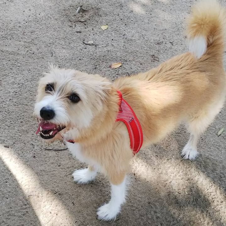 8c02399e 180b 4ca2 b731 3bb762723cca 1533942702517