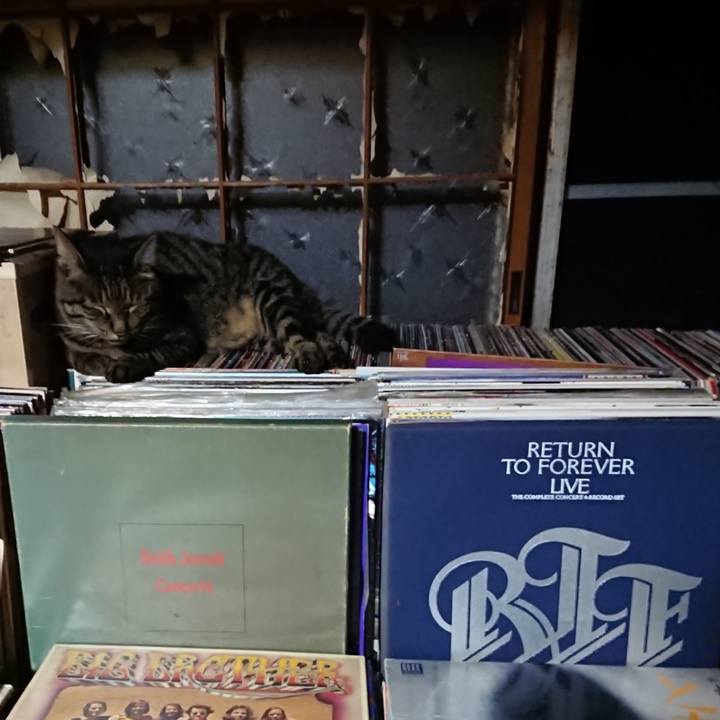 8c023c6c 5ec9 410b 9c48 58e16cd95857 1662381831642