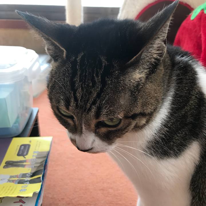 8c024db7 cb36 4fce 958e 8d96783d9756 1519004148471