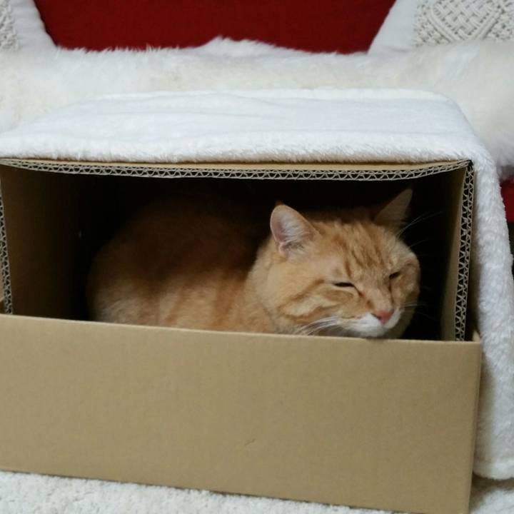 8c02fb9b 9d03 463d aab1 33b7308f4ca3 1514451487911