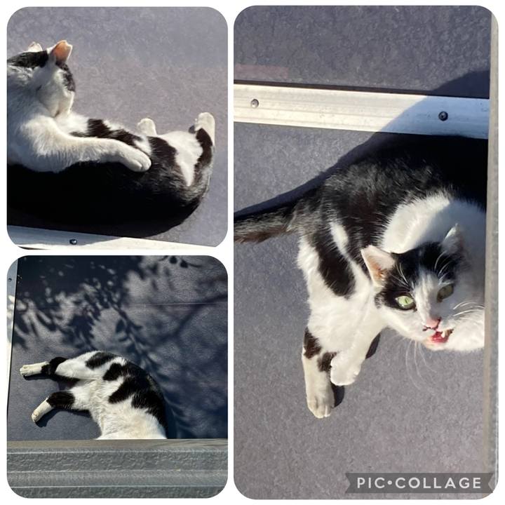 8c0311fe 17af 437a 96ac 8d609a2aadee 1772372538004