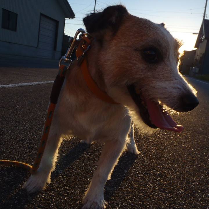 8c0321c8 8bbf 459c 969b fe2972566ef5 1537176943152