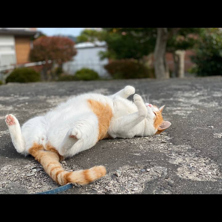 8c032af2 dfe9 48c0 9392 02b0aa4dadbf 1572843328634