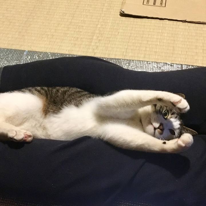 8c032ea0 508e 49d0 93b5 d1ddde0bb8d4 1524492258191