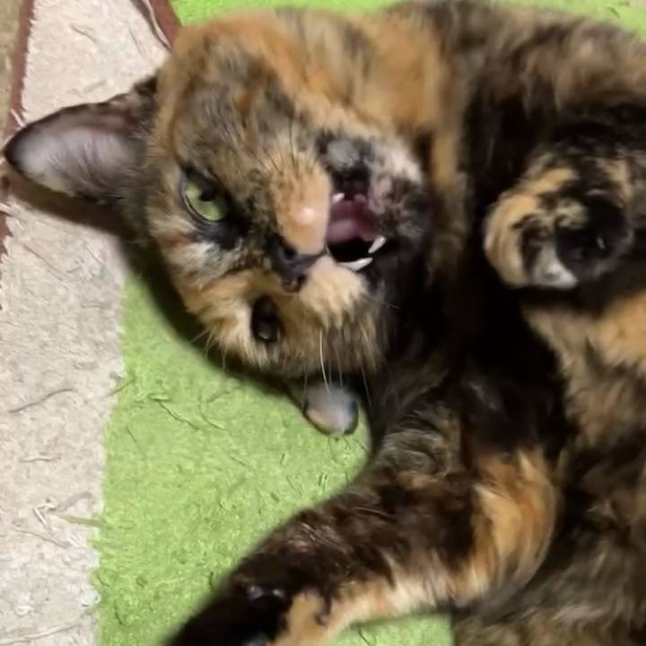 8c038ef3 f89b 464a bced 1983e3c5f323 1734465390693