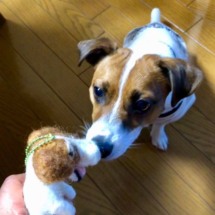 8c0395fd 9630 478f abc9 2b315a5a102c 1569052122368