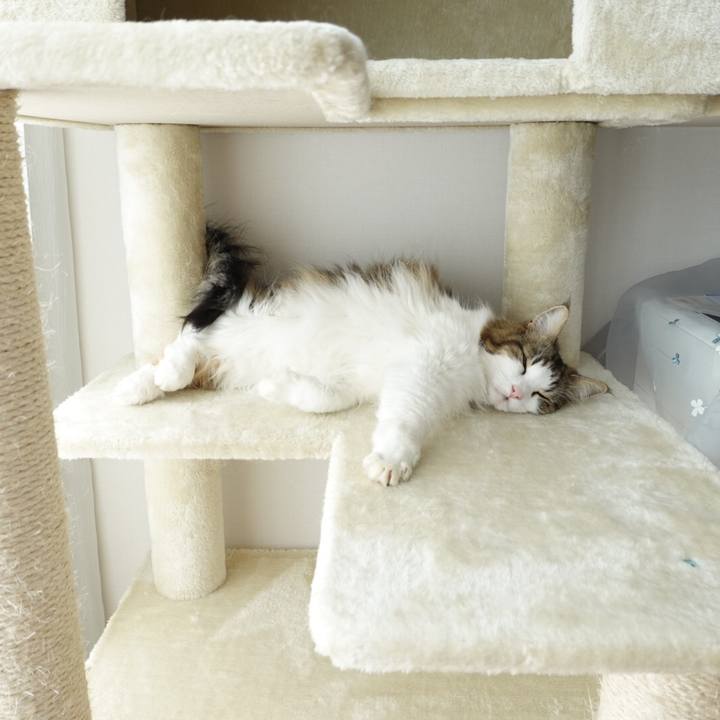 8c03e175 c07e 4b10 8023 70d2e2446587 1598450798829