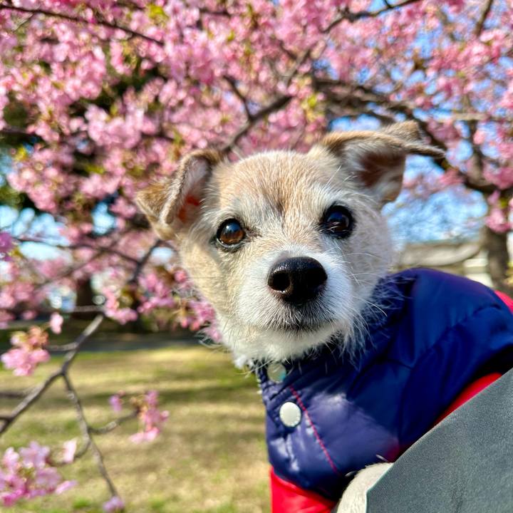 8c03f48e b583 4c58 a714 c81897188954 1708758001922