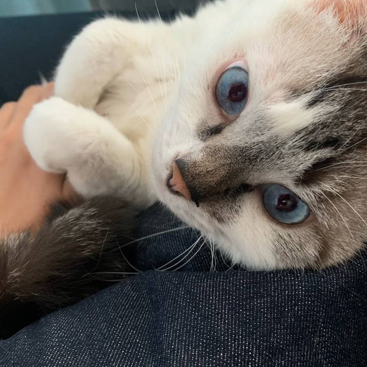 8c0437a5 247b 4e2d b385 d55f1089837b 1658540044697