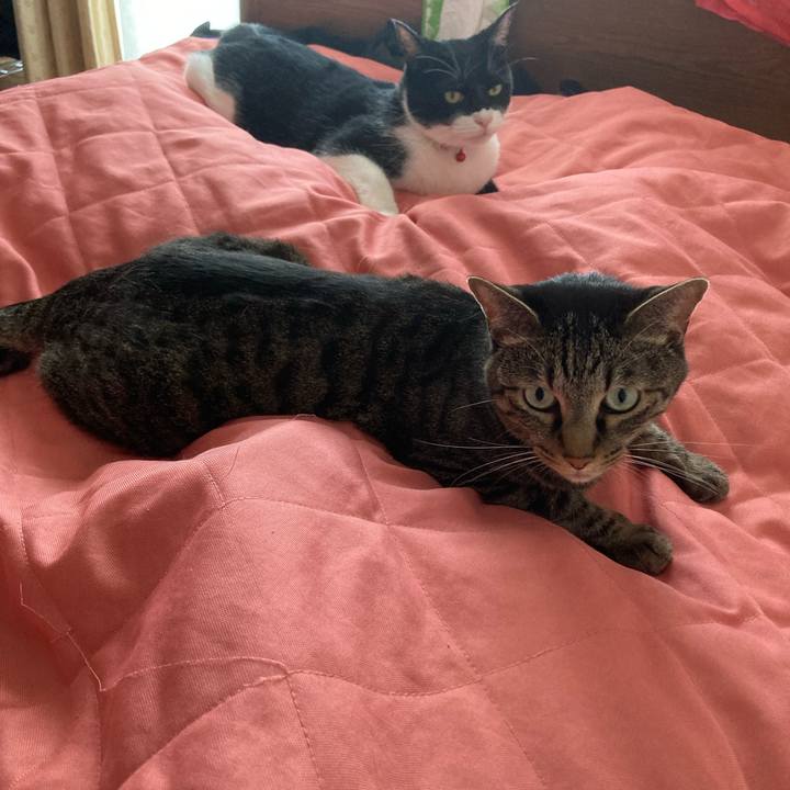 8c04654c e855 4d0e 8979 9ad812484de9 1627875130932